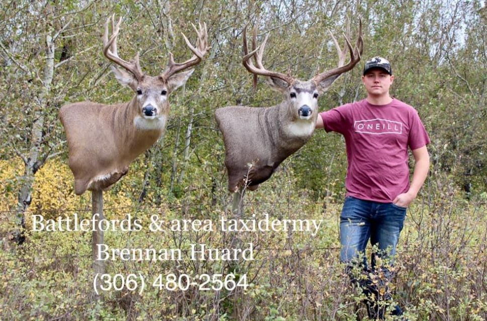 Brennan Huard, a taxidermist in Battleford accused of theft